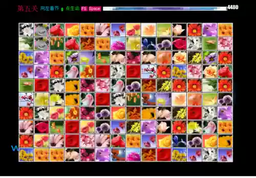 花花连连看的规则是什么(团建水果连连看游戏规则)插图6