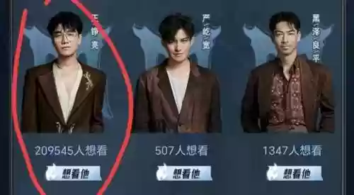 闪亮登场阵容(闪烁之光阵容搭配)插图3