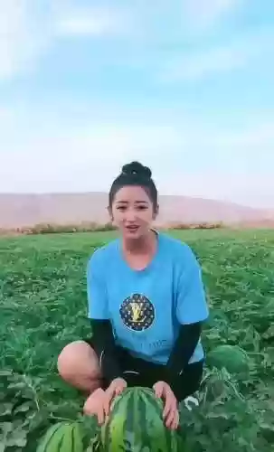 碧波幻影阵容(梦幻凌波三法阵容)插图7