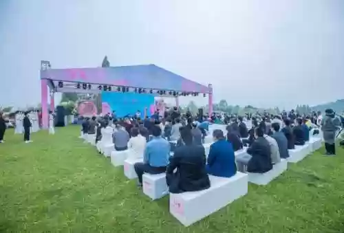 玫瑰小镇嫁接花列表(玫瑰小镇嫁接最容易出大虫的)