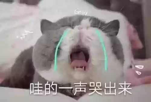 行尸走肉第季10季(行尸走肉第十季全集观看免费)插图3