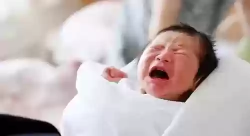 只为遇见你公布全阵容配置(只为遇见你所有演员)插图4