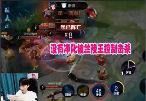 婉儿什么阵容带净化效果(上官婉儿带净化还是闪现)插图2