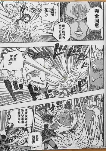海贼王900集国语版卡通站(海贼王角色介绍)插图8