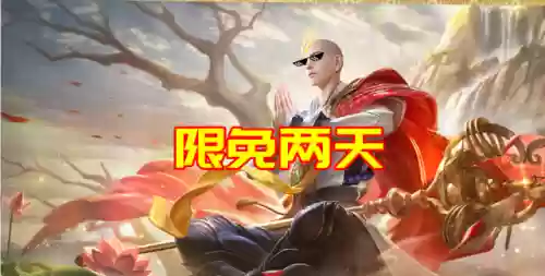 与金蟾参与同阵容什么意思(金蟾和什么搭配)插图3