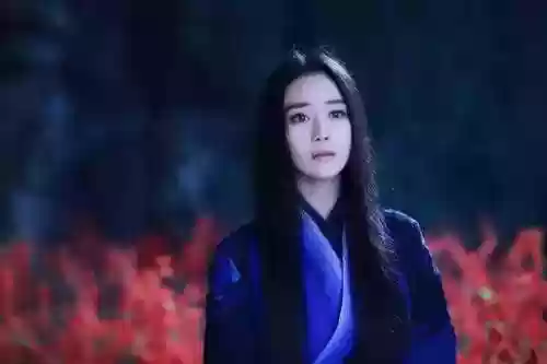 九阴真经侠恶标签(《九阴真经》侠客行广告片)插图1