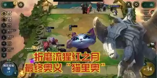 腥红猫咪阵容(猫咪大战争姆特猫)插图2