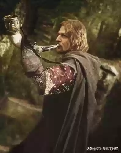魔戒阿拉贡为什么死了(魔戒甘道夫死了没)插图31