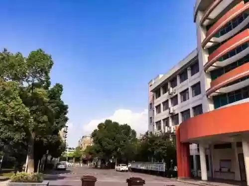 学校校区阵容(学校课程体系结构图)