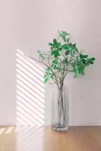 垃圾阵容社交牛(咸鱼之王万能阵容)插图4
