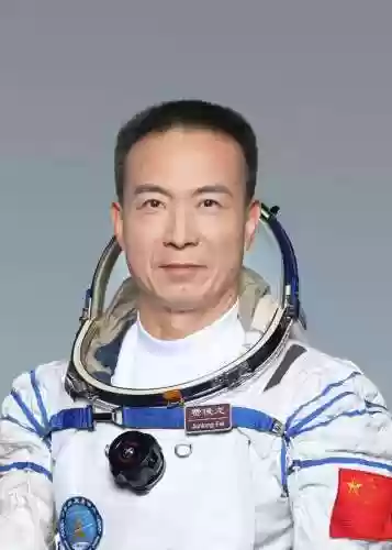 15 阵容(15本阵型分享链接最新)