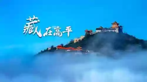 高平比赛阵容(剑盾双打阵容)插图9