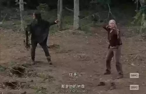 行尸走肉第季10季(行尸走肉第十季全集观看免费)插图7