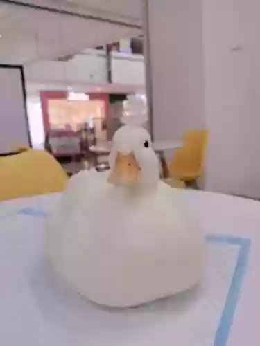 科尔鸭阵容(为什么柯尔鸭那么贵)