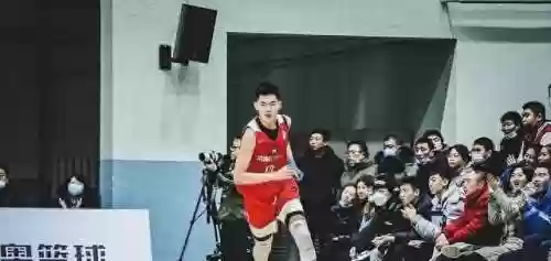 森林狼青年队阵容(森林狼西决赛季阵容)