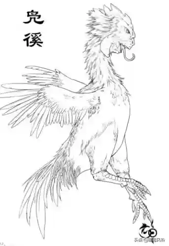 108只神兽大全(宝可梦98只神兽图片)插图18