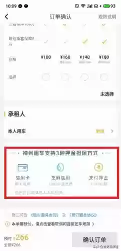 神州租车费用明细表(神州租车都有什么费用)插图12