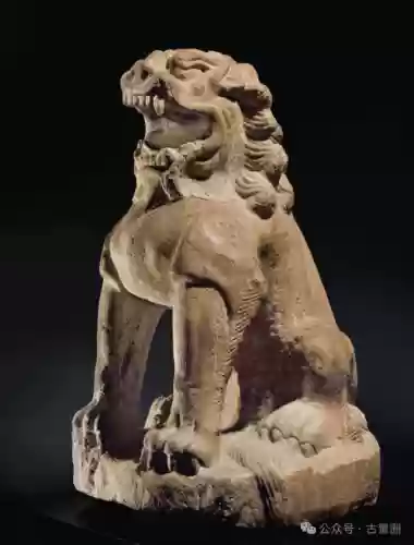 唐狮子阵容(斗罗大陆阵容搭配)插图1