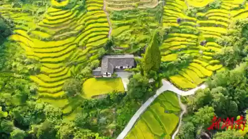 画师6770阵容(咸鱼7403关推图阵容)插图14