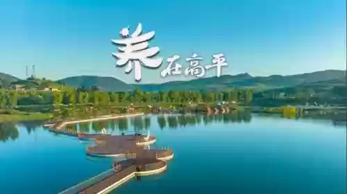 高平比赛阵容(剑盾双打阵容)插图8