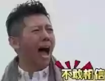 司机的阵容(司机分为哪几种)插图5