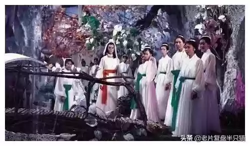 蜀山外传阵容(蜀国最强阵容搭配推荐)插图66