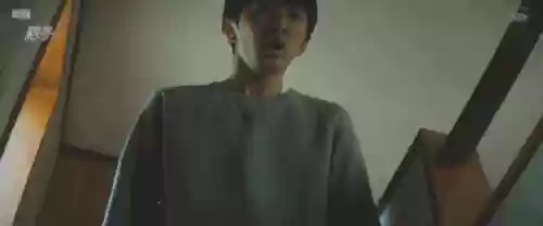 浅田家阵容(宝可梦t0阵容)插图14