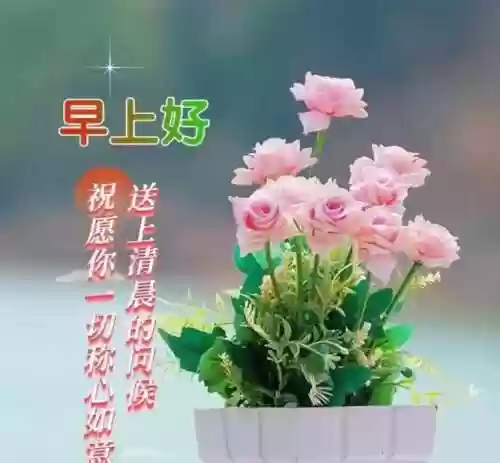 朋友阵容文案(朋友圈推广文案)插图9