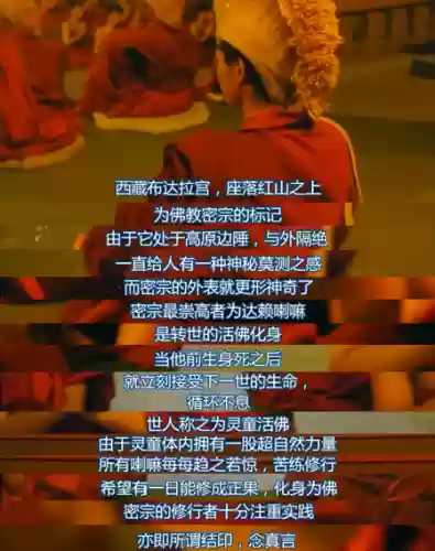 灵幻顶级阵容(境界灵压对决鬼道最强阵容)插图14