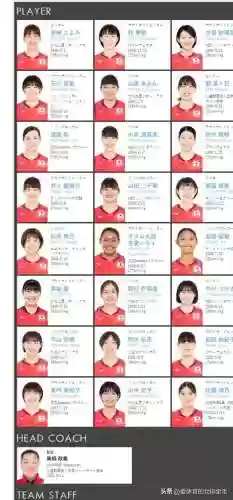 莎莉娜阵容(被催眠的莎莉娜瞬间变得乖巧)