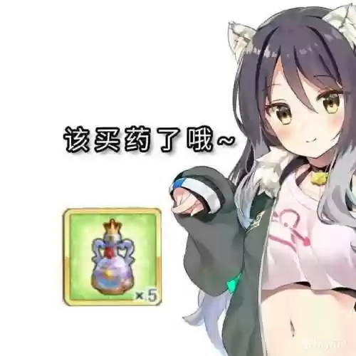 决胜阵容 公会(闪烁之光打公会boss的阵容)