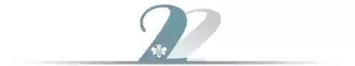 笑傲红尘阵容(新笑傲江湖华山最强侠客搭配)插图2