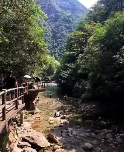 浙江之声阵容(浙江选科最佳组合)插图13 浙江之声阵容(浙江选科最佳组合)插图13