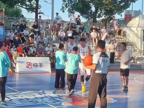 姑姑竞速阵容(动物自走棋阵容推荐)