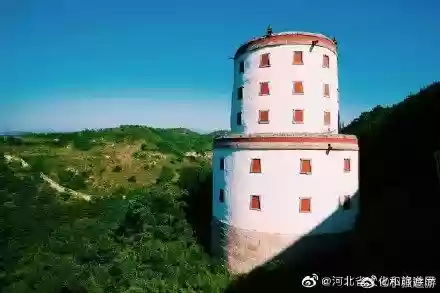 普陀灵塔阵容(梦幻西游普陀用什么阵最好)插图2