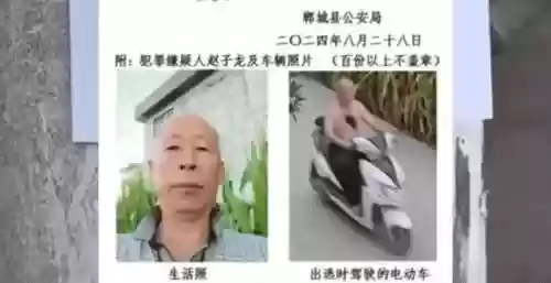 白龙悬赏阵容(白板潜龙阵最强阵容)插图6