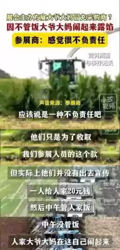 20元阵容(咸鱼之王20-10用什么阵容过)插图3