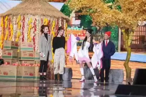 语言节目阵容(语言类表演有什么)
