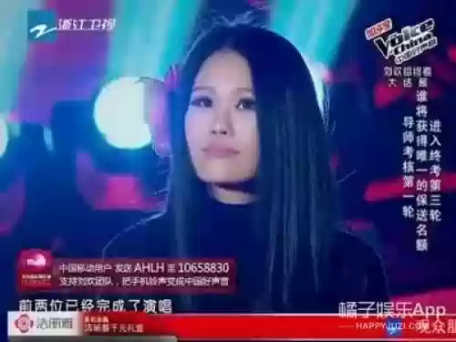 歌手乐手阵容(音乐人和歌手的区别)插图14