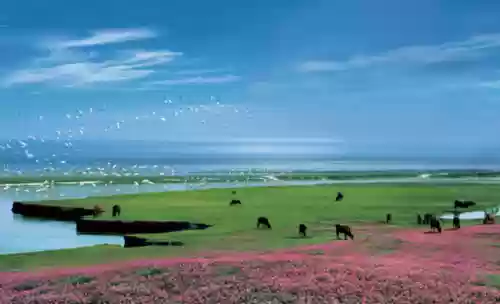 鄱阳阵容图(鄱阳县各个乡镇地图)插图3