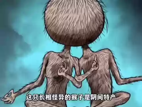 灵机娃娃阵容(境界灵压对决鬼道最强阵容)插图4