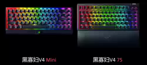 蜘蛛阵容299(云顶之弈蜘蛛万血阵容)插图4