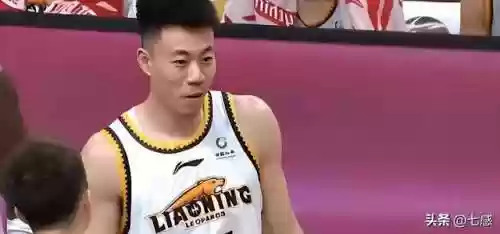 辽宁王牌阵容(新赛季辽宁队队员名单)插图9