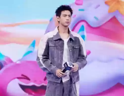 流量小生阵容(部落冲突阵容助手)