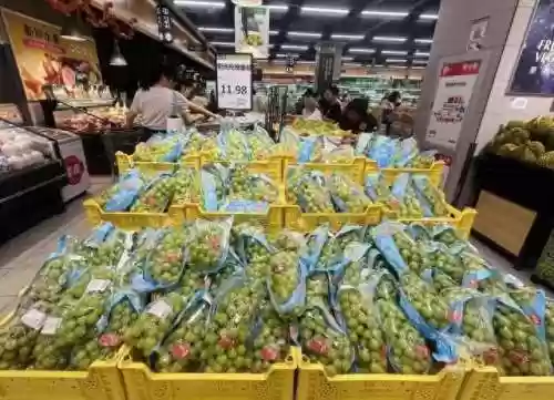 葡萄阵容平民(我叫mt平民最强阵容)