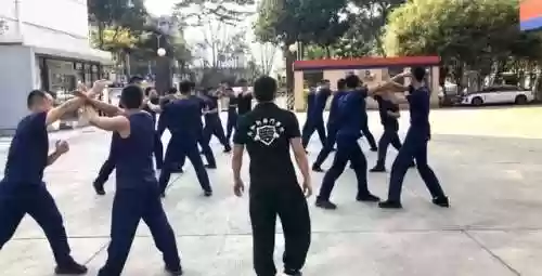 格斗学院阵容(格斗学院还能玩吗)插图10