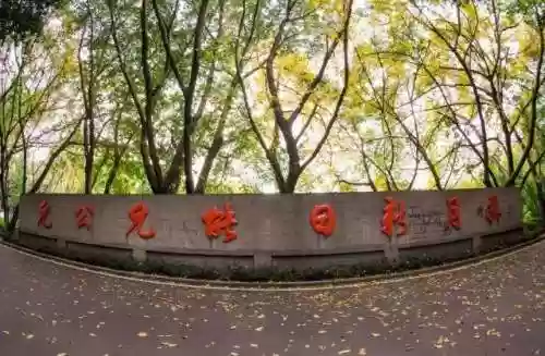 皇冠师资阵容(上古王冠阵容搭配)插图3