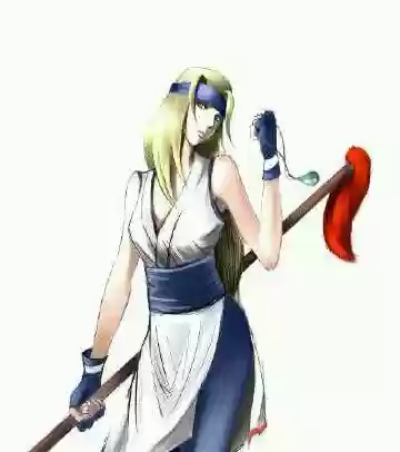 月剑士阵容(华月剑士二出招表)插图22