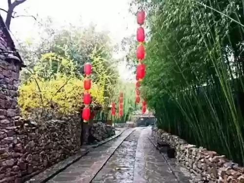 清乐竹林阵容(阴阳师单体阵容)