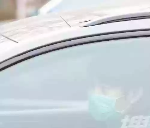 虎年系列阵容(2019-2020赛季最佳阵容)插图5